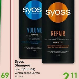 Shampoo bei Selgros