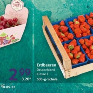 Erdbeeren bei Selgros