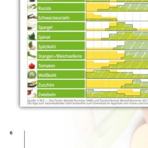 Zucchini bei basic Bio
