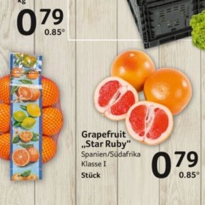 Grapefruit bei Selgros