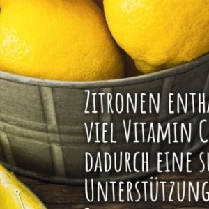 Zitronen bei Selgros