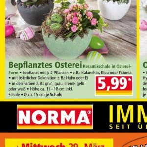 Pflanzen bei Norma