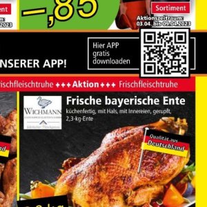 Ente bei Norma