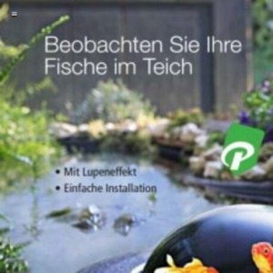 Fische bei Weltbild
