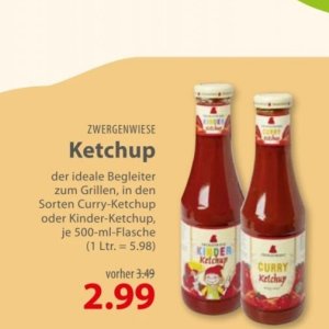 Ketchup bei basic Bio