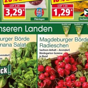 Radieschen bei Norma