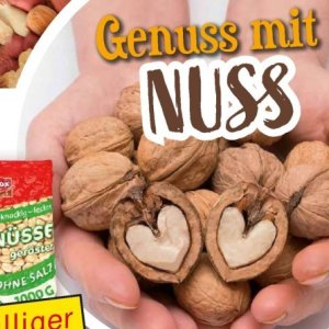 Nuss bei Norma
