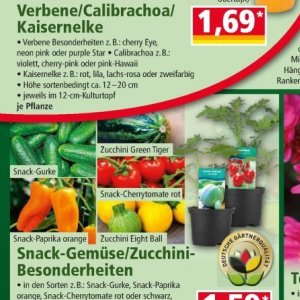 Zucchini bei Norma