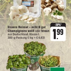 Champignons bei Edeka