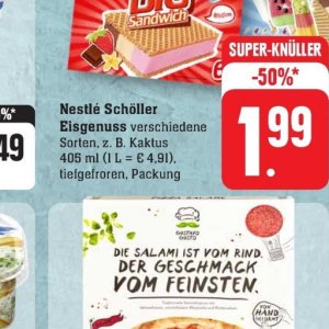 Kaktus bei Edeka