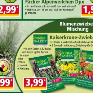 Pflanzen bei Norma