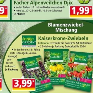 Zwiebeln bei Norma