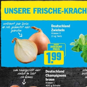  OB bei Hit