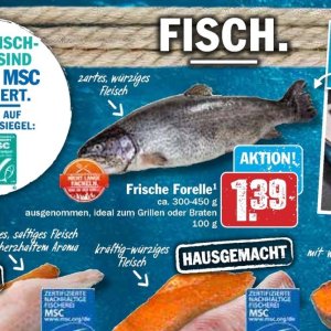 Fleisch bei Hit