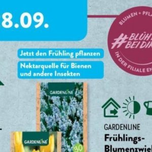 Pflanzen bei Aldi SÜD