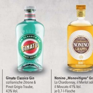 Gin bei Citti Markt