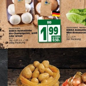 Champignons bei Elli Markt