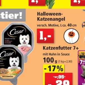 Katzenfutter bei Thomas Philipps