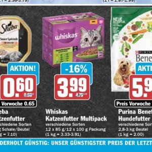 Katzenfutter purina  bei Hit