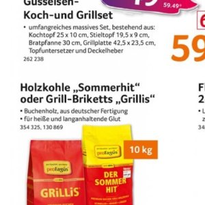 Grill briketts bei Selgros