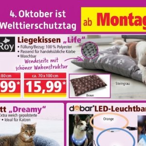 Körbe bei Norma