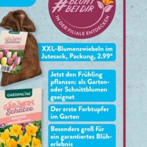 Garten bei Aldi SÜD