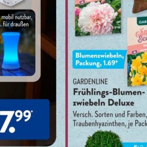 Gartengarnituren bei Aldi SÜD