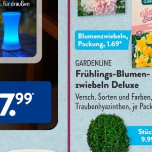 Zwiebeln bei Aldi SÜD