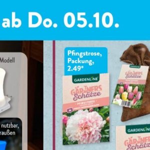 Gartengarnituren bei Aldi SÜD