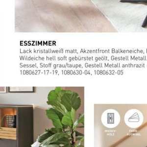 Sessel bei Möbel Martin