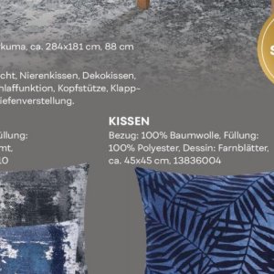 Kissen bei Möbel Kraft