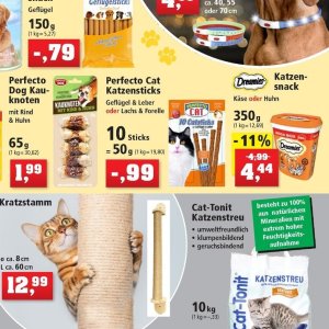 Leber bei Thomas Philipps