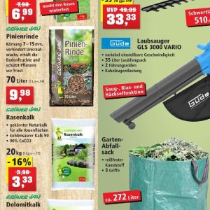 Pflanzen bei Thomas Philipps