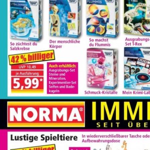 Steine bei Norma