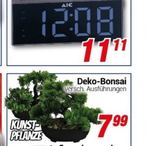 Bonsai bei Centershop