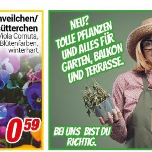 Pflanzen bei Centershop