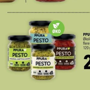 Pesto bei Citti Markt