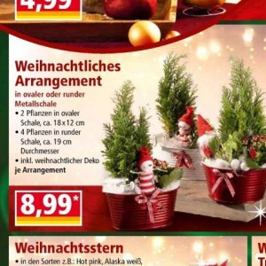 Pflanzen bei Norma