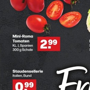 Tomaten bei Handelshof