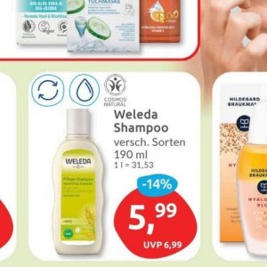 Shampoo bei Budni