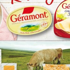   bei Selgros
