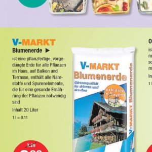 Pflanzen bei V-Markt