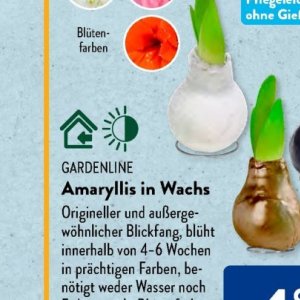 Gartengarnituren bei Aldi SÜD