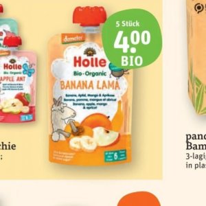 Mango bei basic Bio