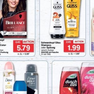 Shampoo dove  bei Famila Nord West