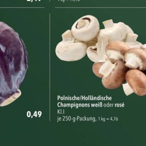 Champignons bei Citti Markt