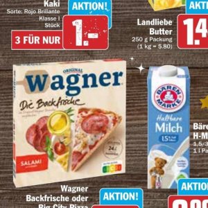  wagner bei AEZ