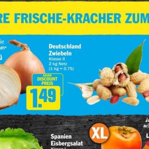 Zwiebeln bei AEZ