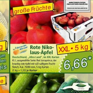   bei Norma