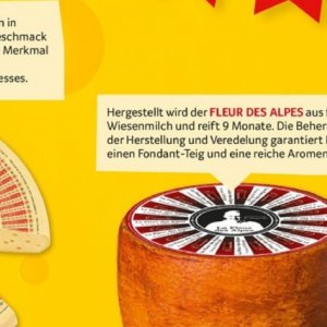 Fondant bei Selgros